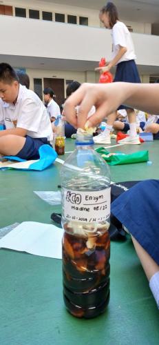 WhatsApp-Image-2024-10-31-at-14.39.38-1